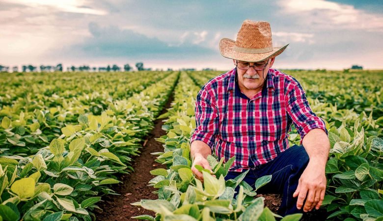 Curso de Agropecuária: Gestão Eficiente e Sustentável